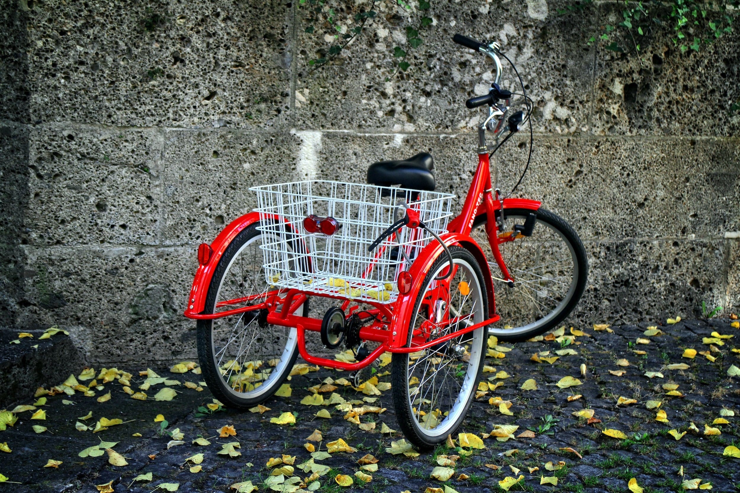 slsy adult tricycle